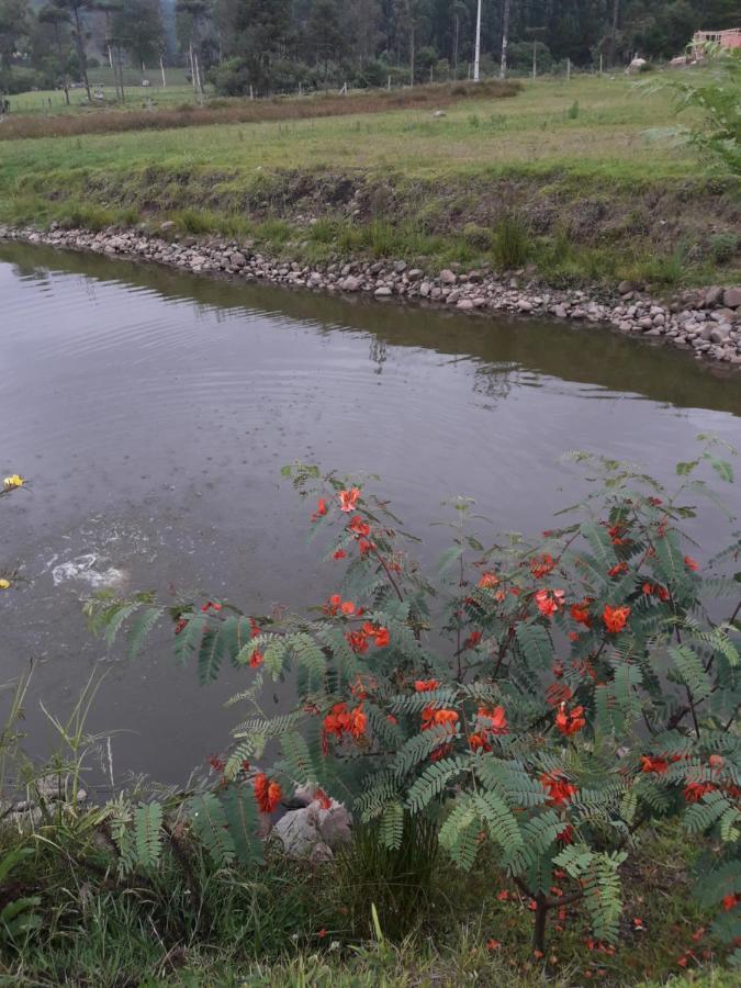 Pousada Requinte Ponto Rural Urubici Eksteriør bilde